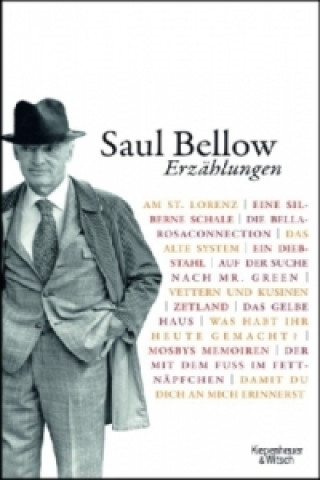 Buch Erzählungen Saul Bellow