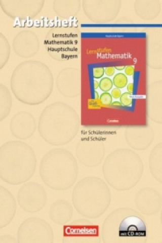 Kniha Lernstufen Mathematik - Bayern 2005 - 9. Jahrgangsstufe Manfred Leppig