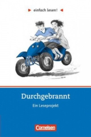 Buch Einfach lesen! - Leseprojekte - Leseförderung: Für Lesefortgeschrittene - Niveau 3 Michaela Greisbach