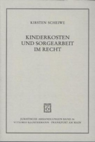 Kniha Kinderkosten und Sorgearbeit im Recht Kirsten Scheiwe