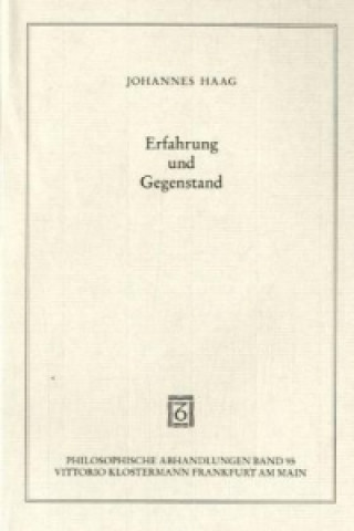 Könyv Erfahrung und Gegenstand Johannes Haag