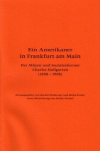 Kniha Ein Amerikaner in Frankfurt am Main Helga Krohn