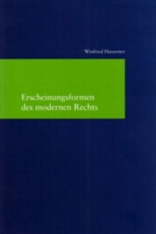 Book Erscheinungsformen des modernen Rechts Winfried Hassemer