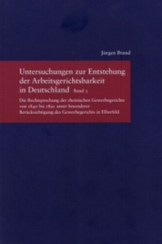 Libro Untersuchungen zur Entstehung der Arbeitsgerichtsbarkeit in Deutschland. Bd.3 Jürgen Brand