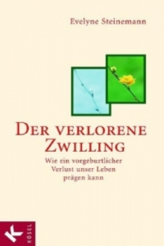 Βιβλίο Der verlorene Zwilling Evelyne Steinemann