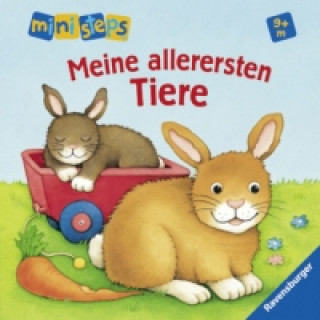 Könyv ministeps: Meine allerersten Tiere Monika Neubacher-Fesser