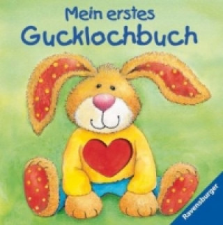 Könyv Mein erstes Gucklochbuch Ruth Scholte van Mast