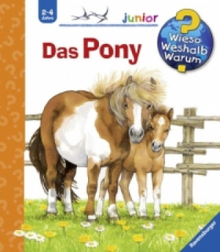 Книга Wieso? Weshalb? Warum? junior, Band 20: Das Pony Thea Roß
