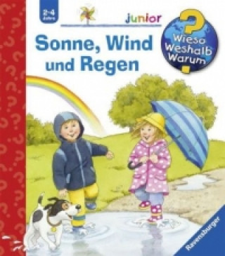 Könyv Wieso? Weshalb? Warum? junior, Band 47: Sonne, Wind und Regen Patricia Mennen