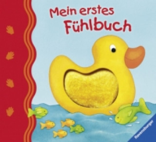 Könyv Mein erstes Fühlbuch Sandra Grimm
