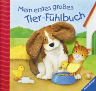 Könyv Mein erstes großes Tier-Fühlbuch Sandra Grimm
