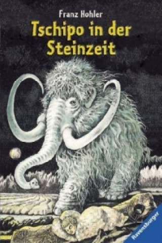 Könyv Tschipo in der Steinzeit Franz Hohler