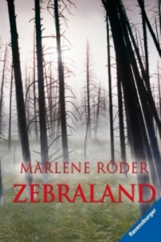 Kniha Zebraland Marlene Röder