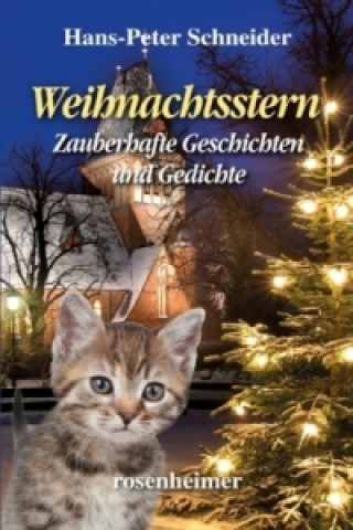 Knjiga Weihnachtsstern Hans-Peter Schneider