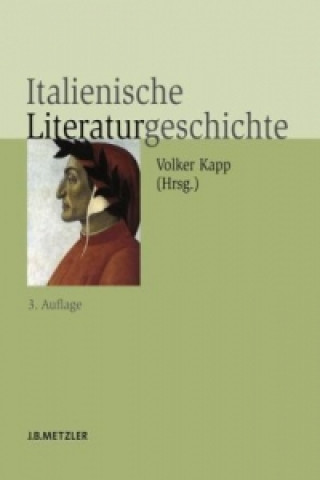 Kniha Italienische Literaturgeschichte Volker Kapp