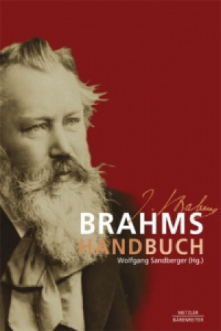 Kniha Brahms-Handbuch Wolfgang Sandberger