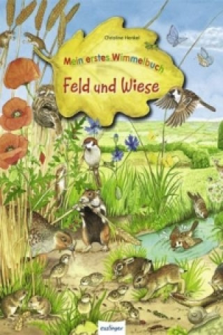 Könyv Mein erstes Wimmelbuch: Feld und Wiese Christine Henkel