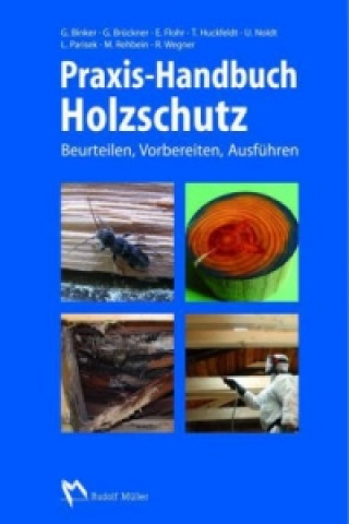 Книга Praxis-Handbuch Holzschutz Tobias Huckfeldt