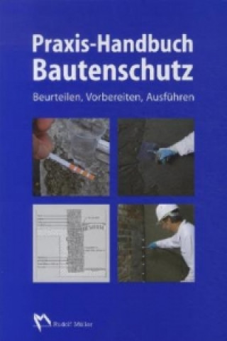 Kniha Praxis-Handbuch Bautenschutz 