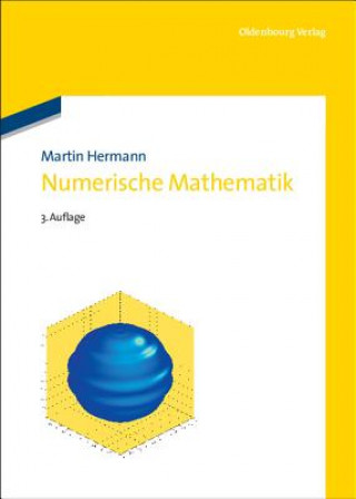 Kniha Numerische Mathematik Martin Hermann