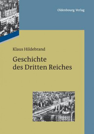 Könyv Geschichte des Dritten Reiches Klaus Hildebrand