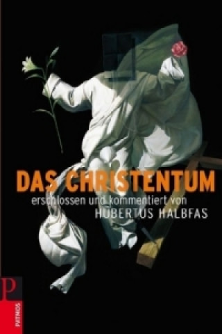 Buch Das Christentum Hubertus Halbfas