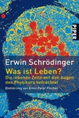 Könyv Was ist Leben? Erwin Schrödinger