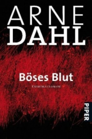 Kniha Böses Blut Arne Dahl