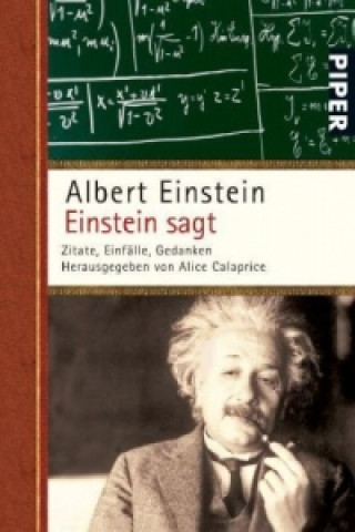 Kniha Einstein sagt Albert Einstein