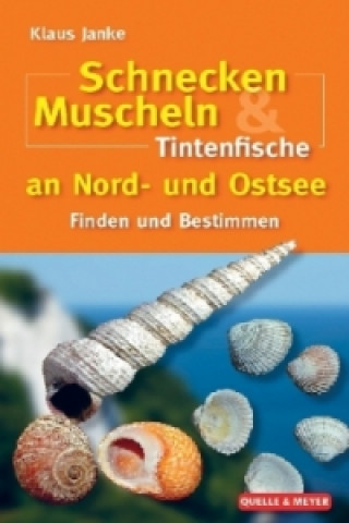Kniha Schnecken, Muscheln & Tintenfische an Nord- und Ostsee Klaus Janke