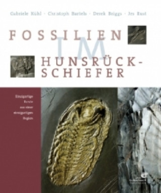 Knjiga Fossilien im Hunsrück Schiefer Gabriele Kühl