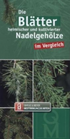 Gra/Zabawka Die Blätter heimischer und kultivierter Nadelgehölze im Vergleich 