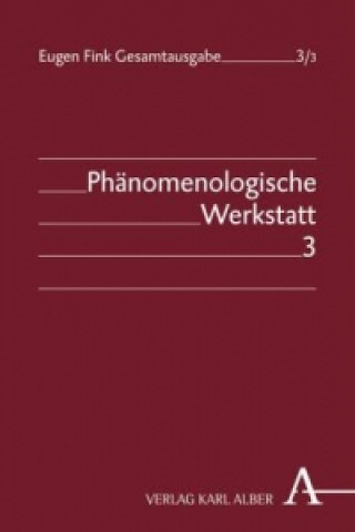 Buch Phänomenologische Werkstatt Eugen Fink