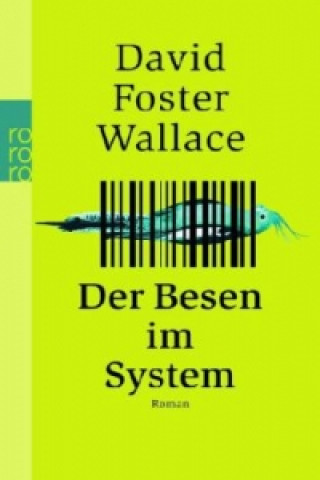 Könyv Der Besen im System David Foster Wallace