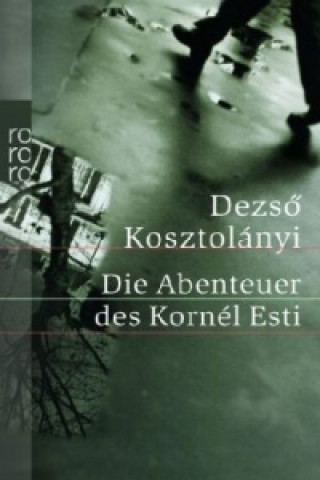 Könyv Die Abenteuer des Kornél Esti Dezsö Kosztolanyi
