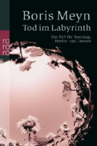 Kniha Tod im Labyrinth Boris Meyn