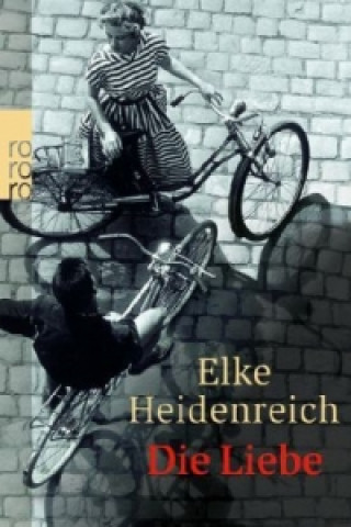 Buch Die Liebe Elke Heidenreich