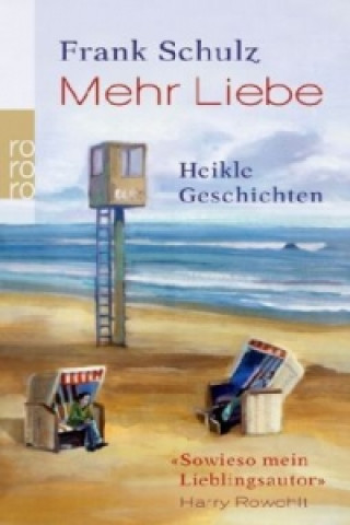 Buch Mehr Liebe Frank Schulz