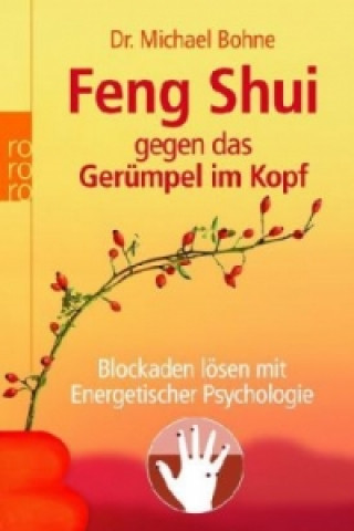 Kniha Feng Shui gegen das Gerümpel im Kopf Michael Bohne