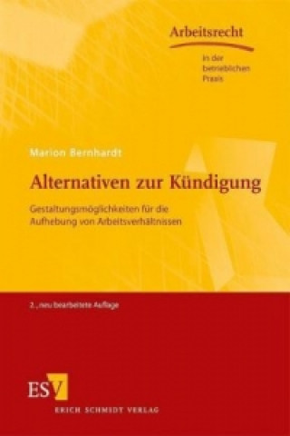 Könyv Alternativen zur Kündigung Marion Bernhardt