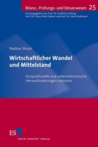 Kniha Wirtschaftlicher Wandel und Mittelstand Nadine Staub