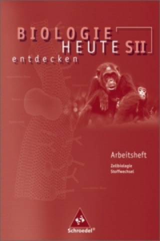 Livre Biologie heute entdecken SII - Arbeitshefte Antje Starke