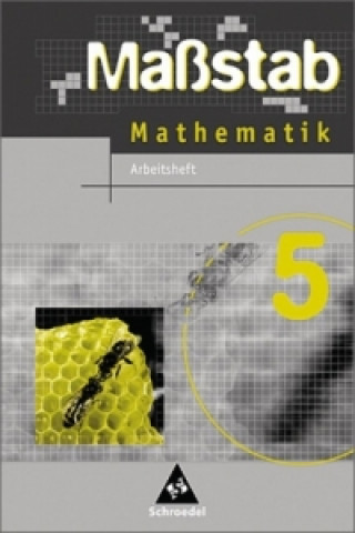 Книга Maßstab - Mathematik für Hauptschulen in Nordrhein-Westfalen und Bremen - Ausgabe 2005 Max Schröder