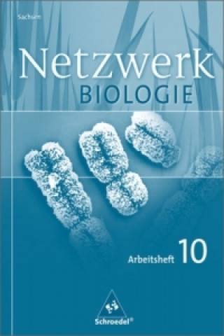 Knjiga Netzwerk Biologie / Netzwerk Biologie - Ausgabe 2004 für Sachsen Antje Starke