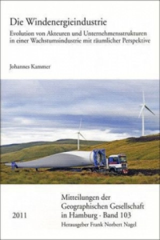 Buch Die Windenergieindustrie Johannes Kammer