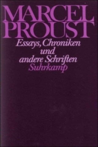 Könyv Essays, Chroniken und andere Schriften Marcel Proust