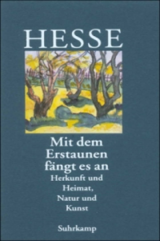 Kniha Mit dem Erstaunen fängt es an Hermann Hesse