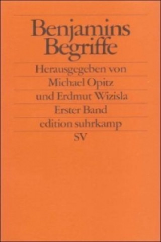 Книга Benjamins Begriffe Michael Opitz
