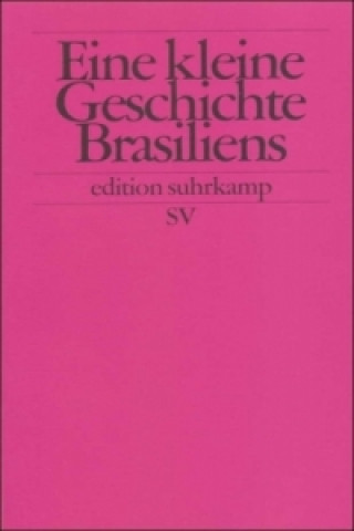 Kniha Eine kleine Geschichte Brasiliens Walther L. Bernecker