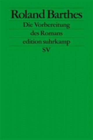 Buch Die Vorbereitung des Romans Roland Barthes